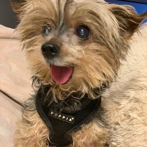 Meet your Posher, Melissa